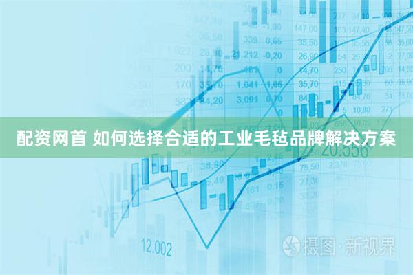 配资网首 如何选择合适的工业毛毡品牌解决方案