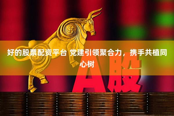 好的股票配资平台 党建引领聚合力，携手共植同心树